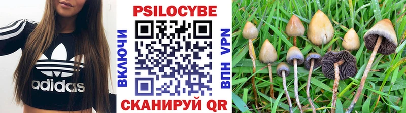 Галлюциногенные грибы мухоморы  Белёв 
